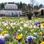 Cafe Botanischer Garten