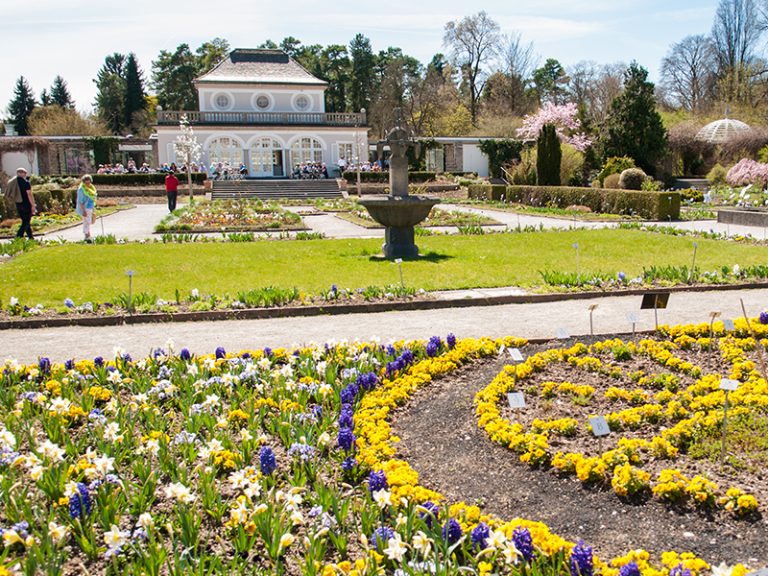 Botanischer Garten — Terrasse