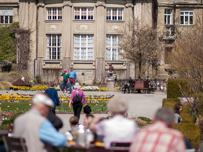 Botanischer Garten — Terrasse